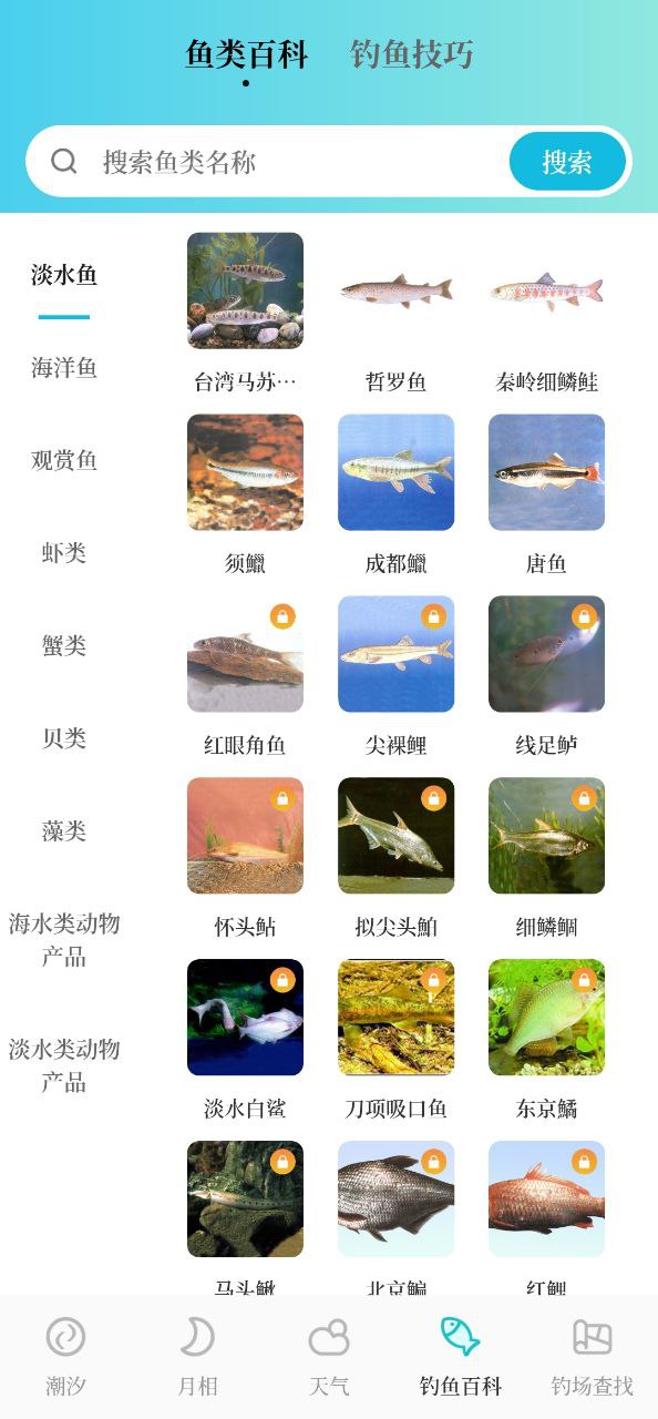 潮汐精灵Android版