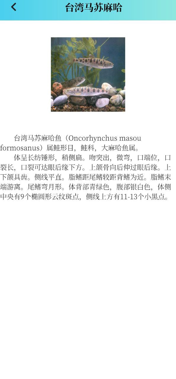 潮汐精灵Android版