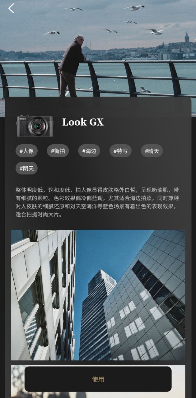remo复古相机免费下载