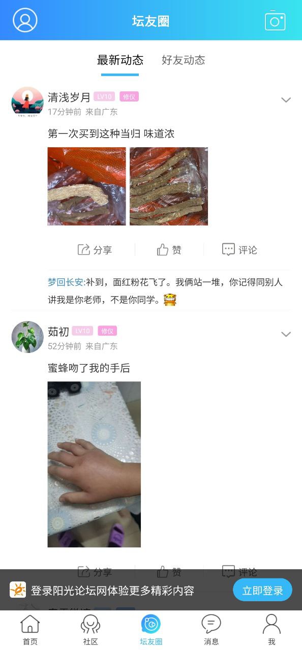 阳光论坛网安卓下载