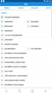 上海税务Android版